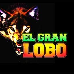 el gran lobo en vivo